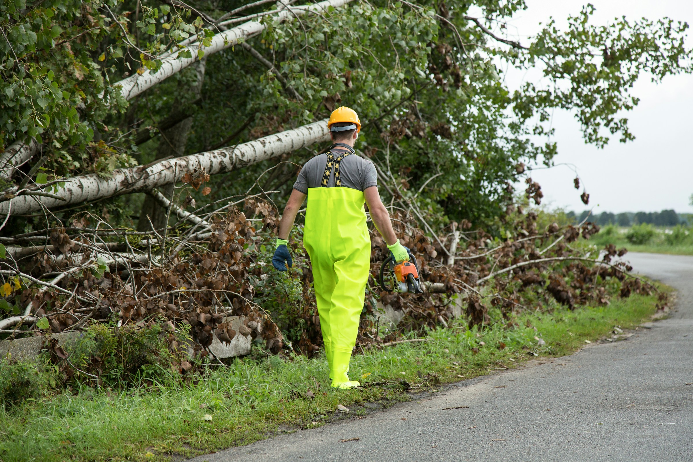 Restoration technician clearing storm-felled trees